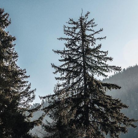 Roombox Likani Borjomi Dış mekan fotoğraf