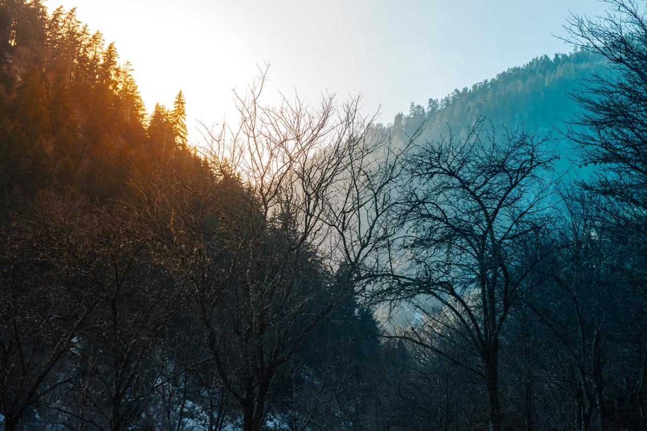 Roombox Likani Borjomi Dış mekan fotoğraf